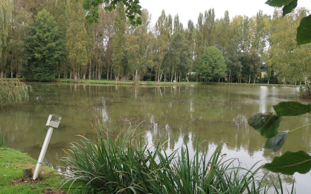 Vente Terrain – à Melesse (35520)